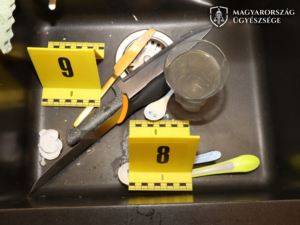 a támadáshoz használt kés a mosogatóban más konyhai eszközök mellett