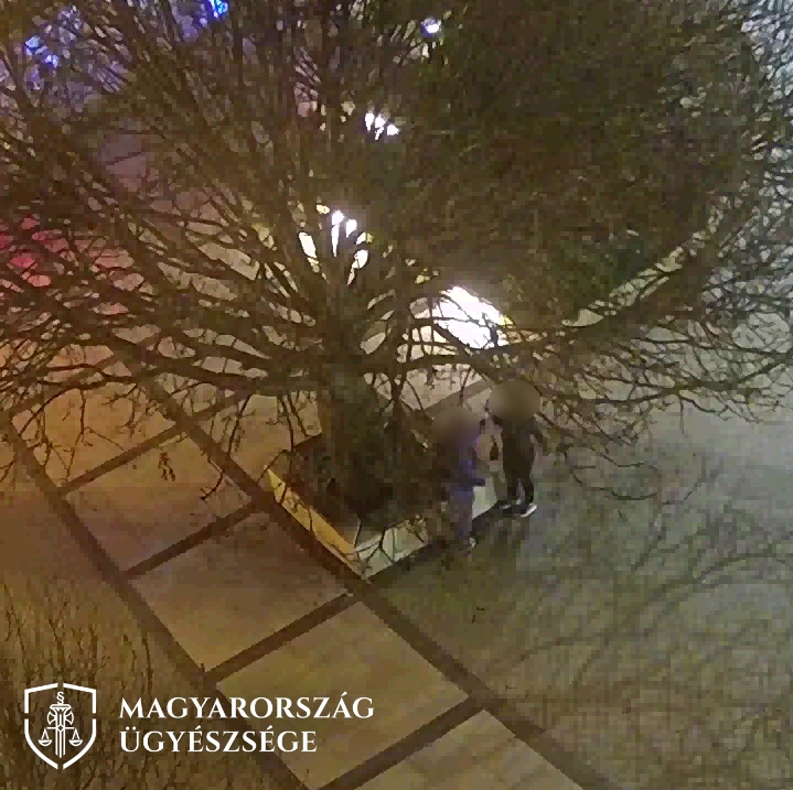 egy közterületi biztonsági kamera felvétele a bántalmazásról